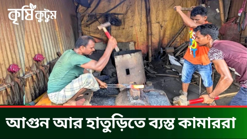 কোরবানির ঈদ ঘিরে ব্যস্ত সময় পার করছেন কামার শিল্পীরা