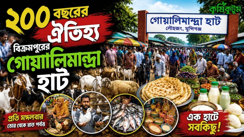 ২০০ বছরের ঐতিহ্য বিক্রমপুরের গোয়ালিমান্দ্রা হাট